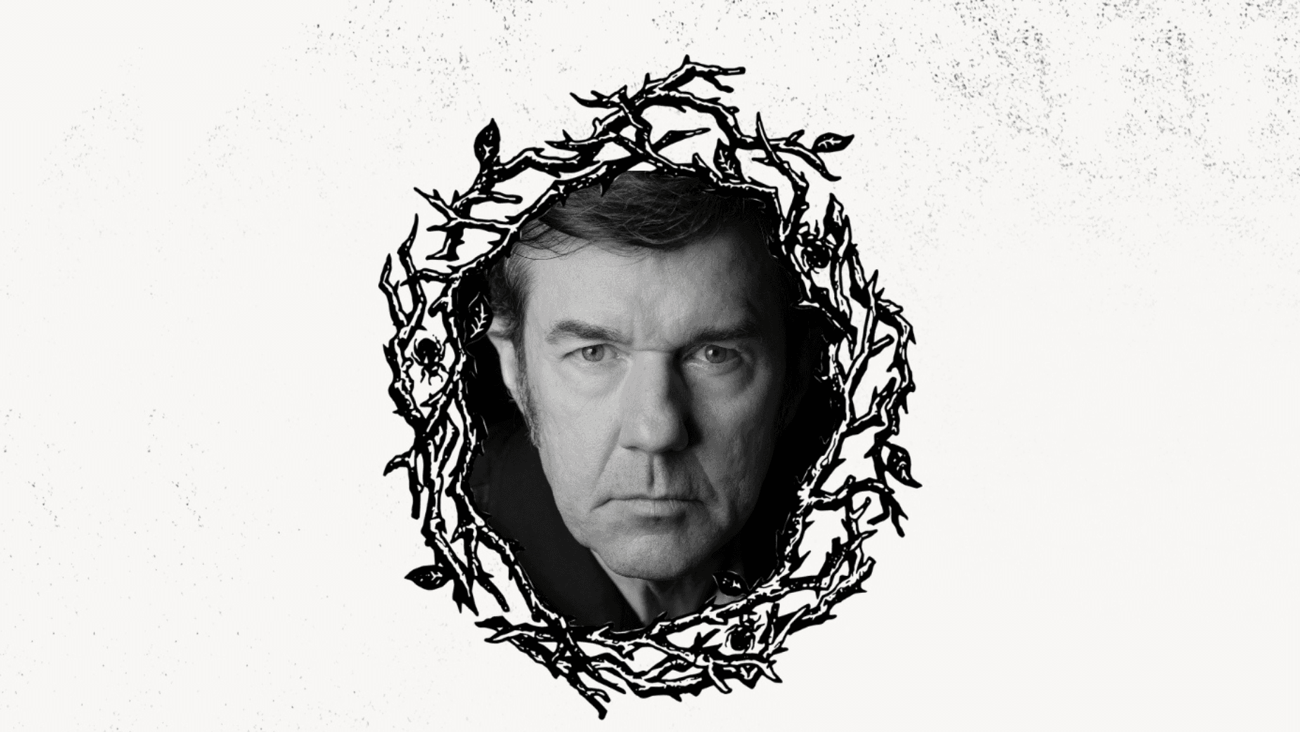 d&ad
