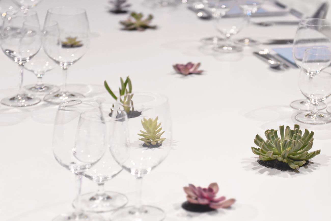 Dinner table set with wine glasses and cutlery among small succulent centerpieces