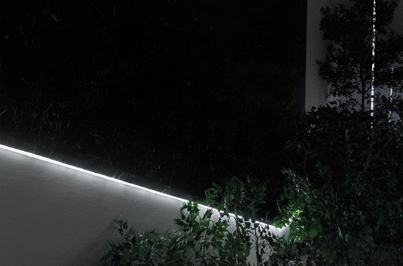 Night close-up of a glowing white ledge edged with LED strip lighting beside dark foliage.