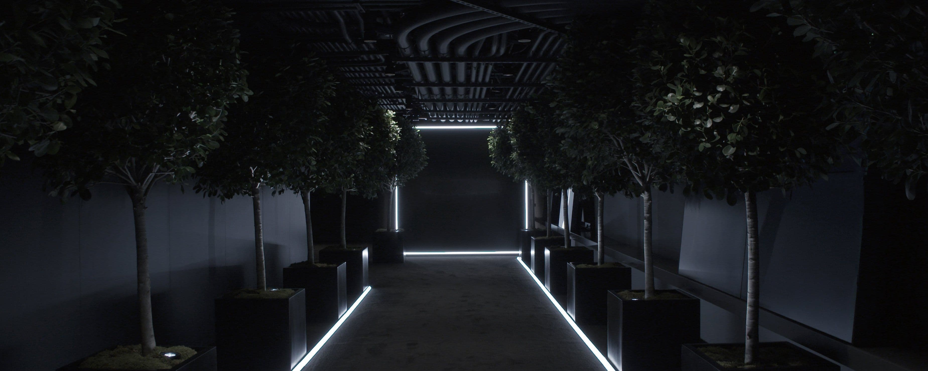 Illuminated walkway lined with potted trees and floor-level LED strips leading toward a lit archway.