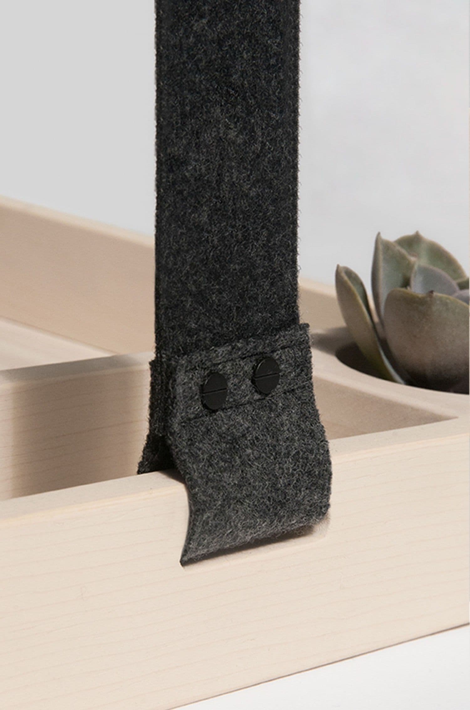 Close-up of a dark felt strap with black rivets attached to a light wood tray, with a succulent beside it.
