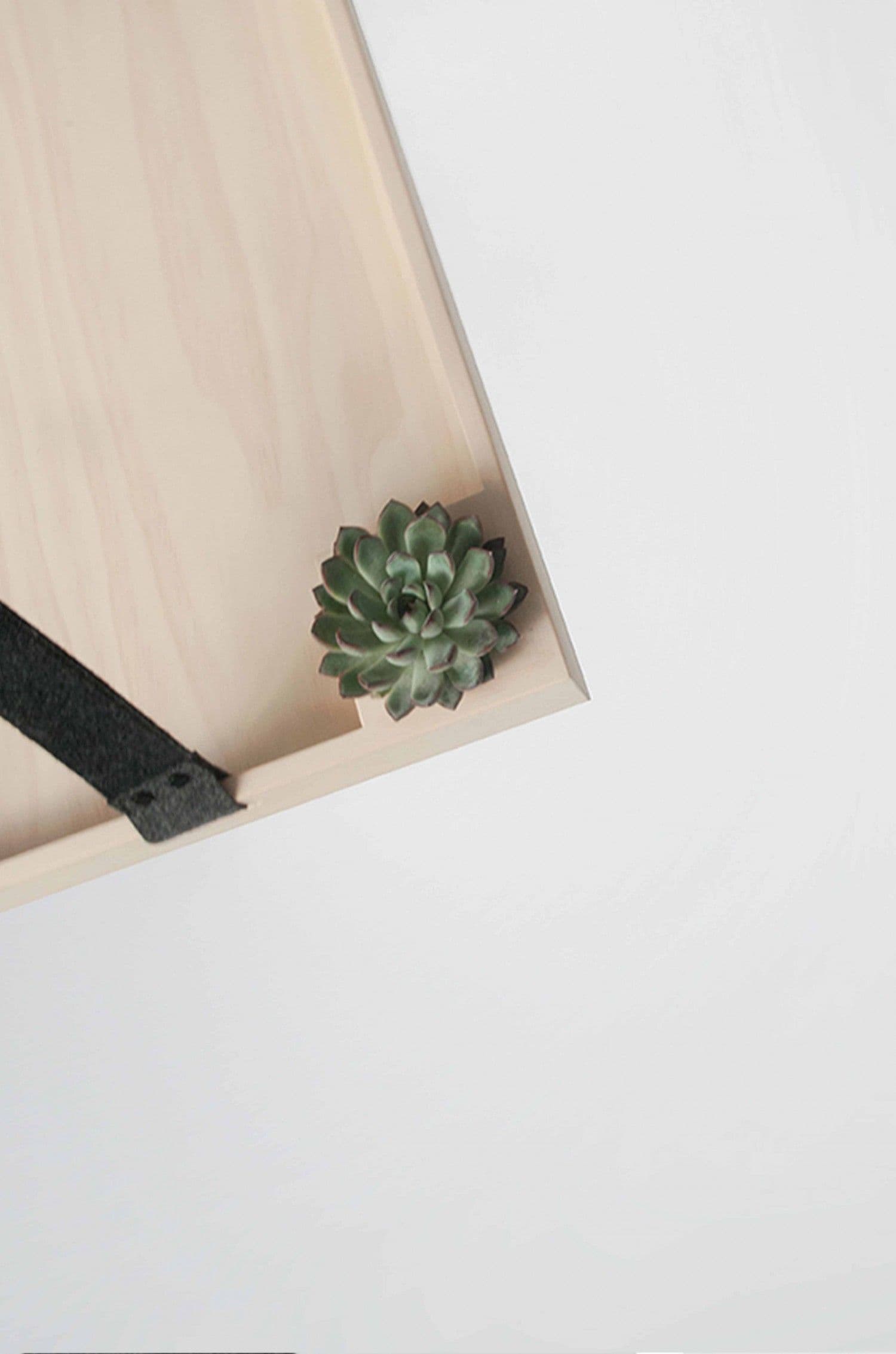 Close-up of a wood tray corner with a black felt strap and a small succulent.
