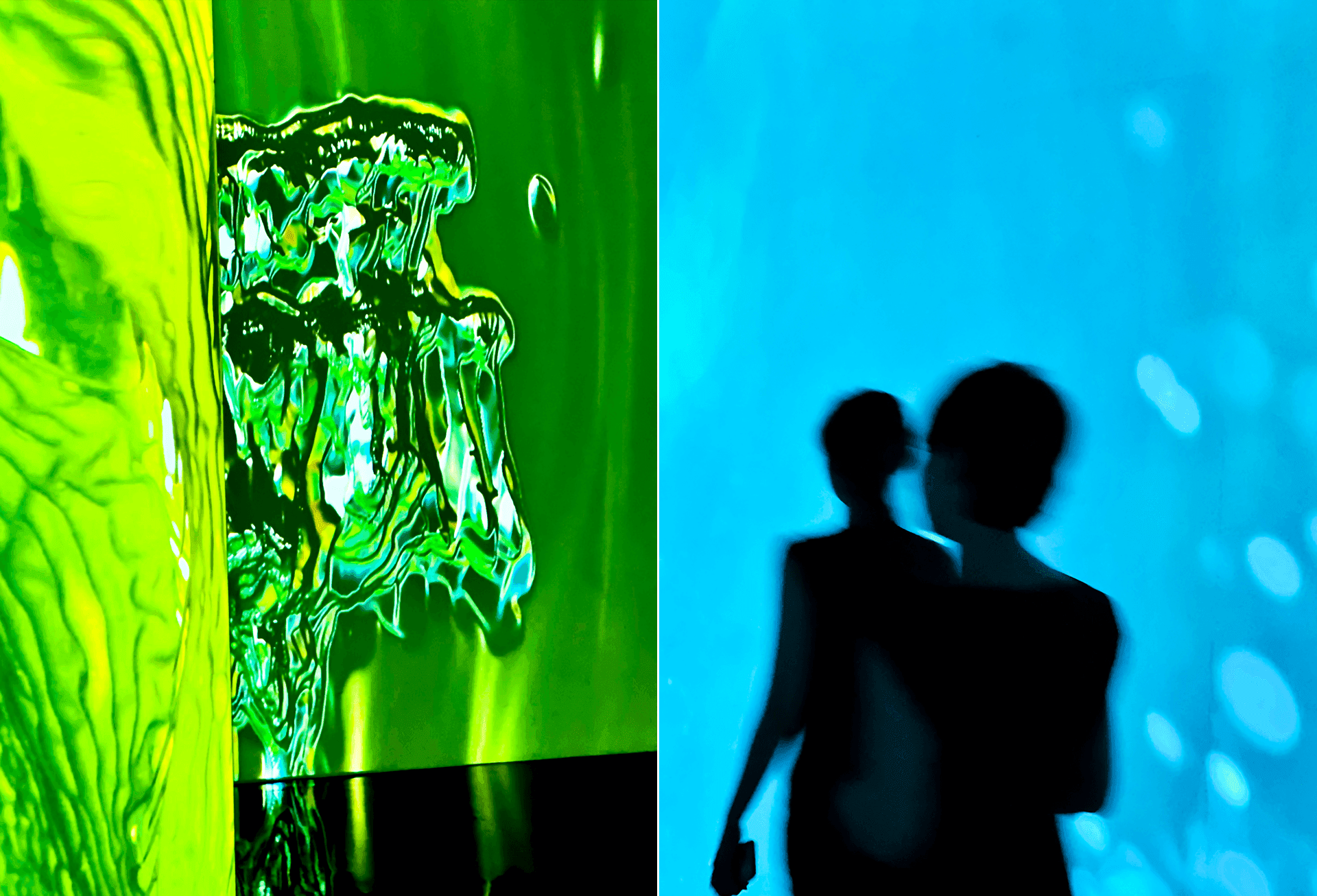 Split image of green textured kelp-like projection on the left and a silhouetted couple against blue light on the right.