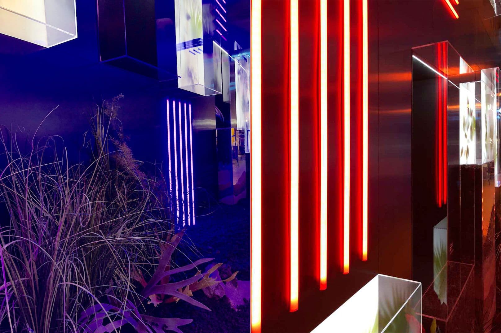Split scene of dark foliage lit in purple beside a row of glowing red vertical neon tubes and glass display panels.
