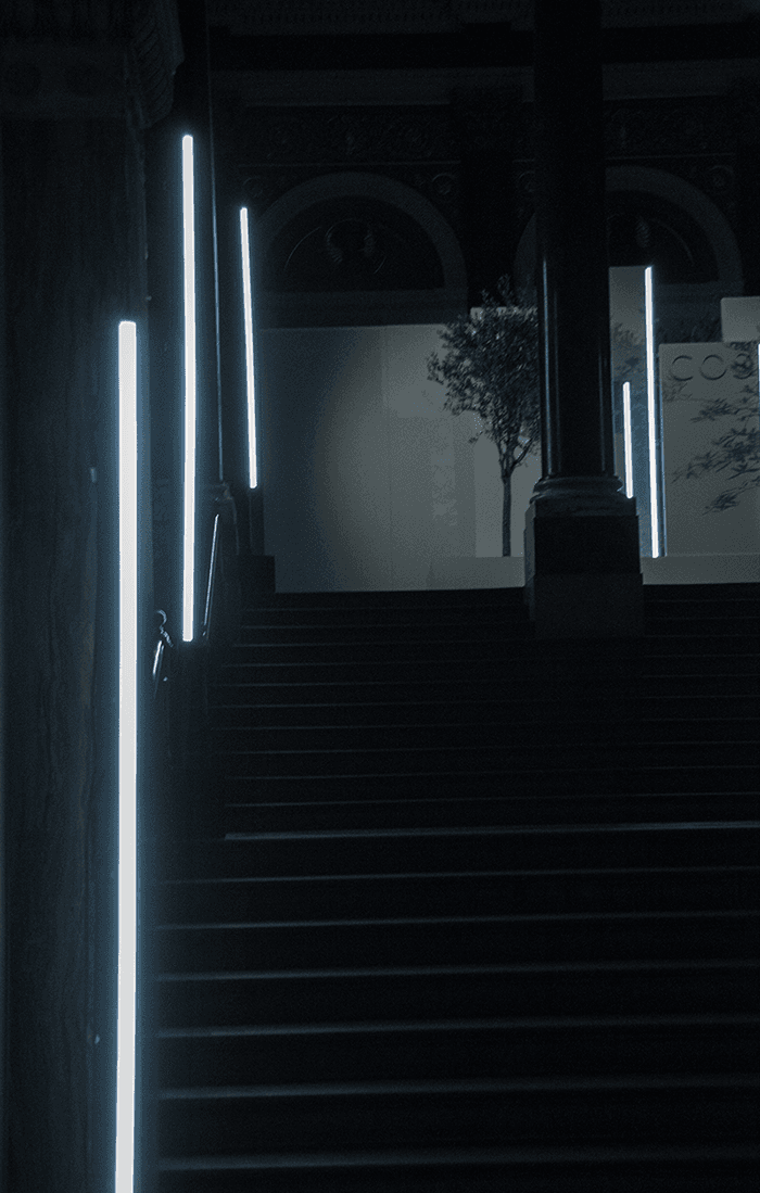 Staircase lined with vertical LED light strips leading up toward an illuminated olive-tree display.