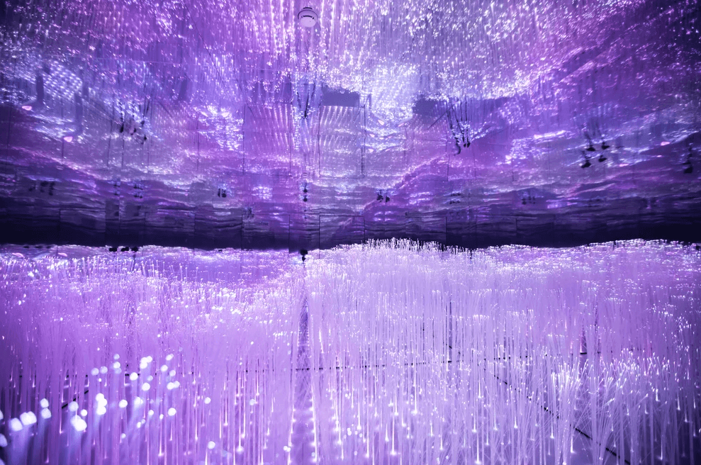 An empty room lined with dense purple fiber-optic strands reflected across mirrored walls.
