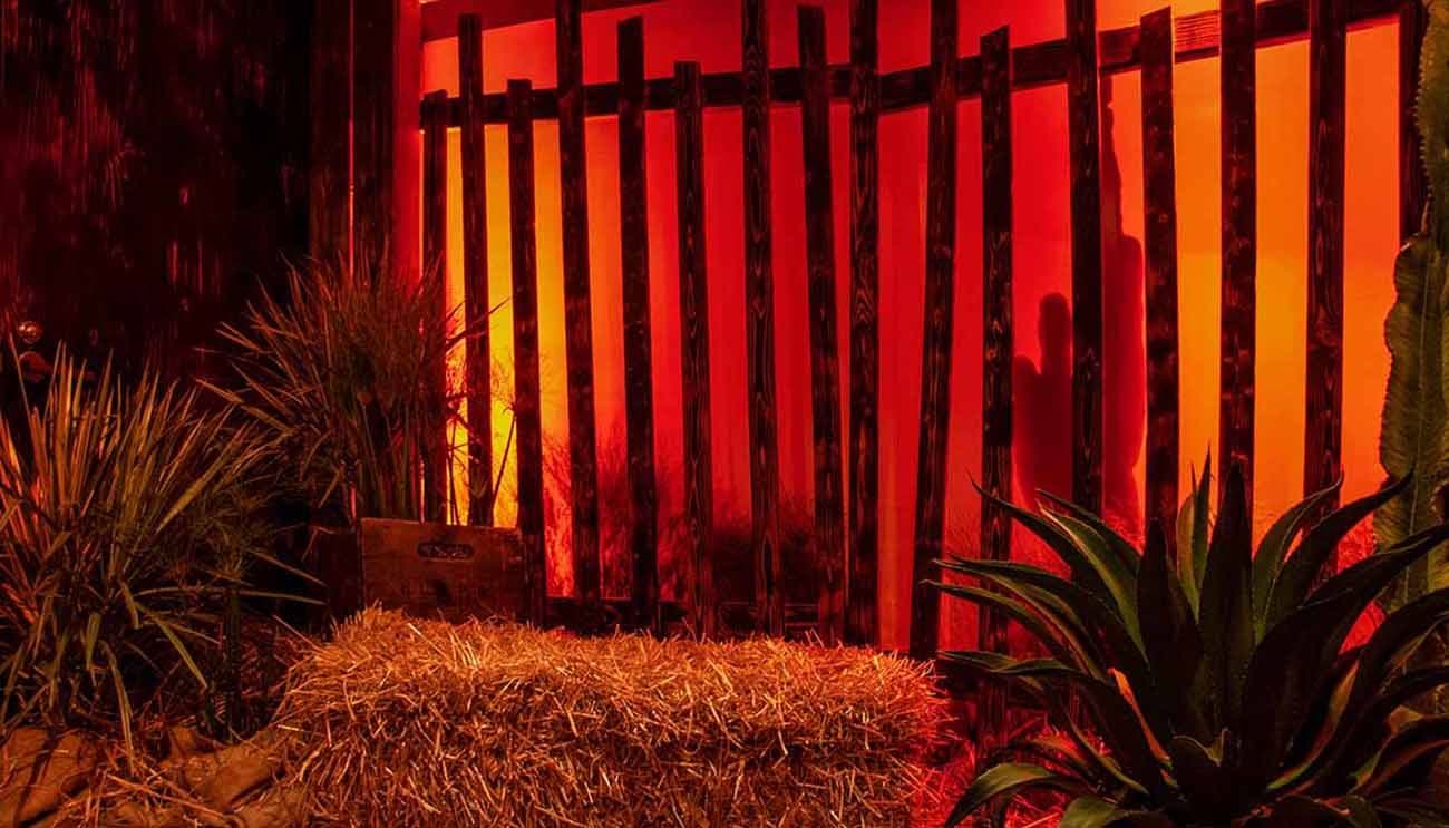 Wooden slat fence lit in orange and red tones with agave plants in the foreground.