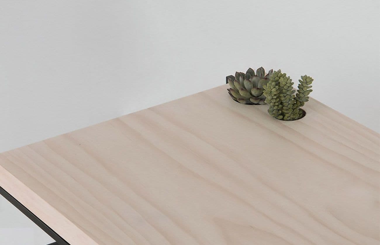 Close-up of a pale wood tabletop corner with two small succulents.