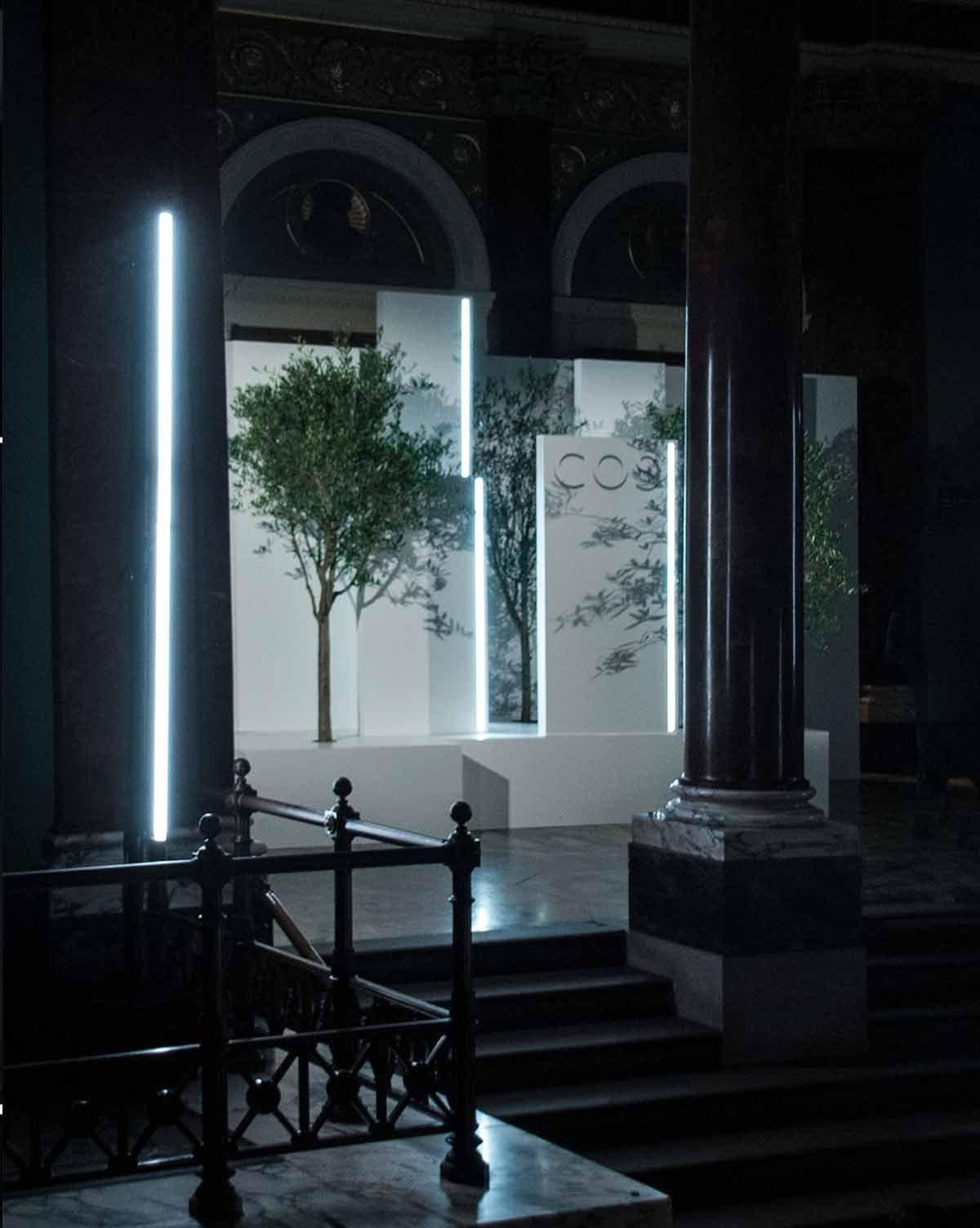 Olive tree installation with illuminated COS panels viewed past an iron railing and columns on a staircase.
