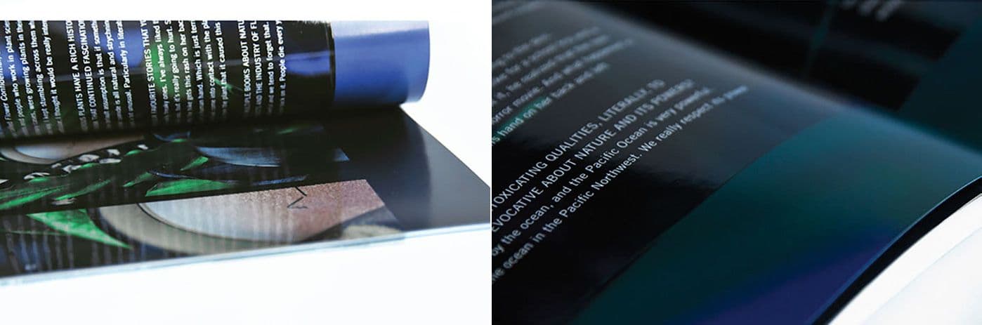 Two close-ups of catalog pages: a curled corner over green eyeshadow imagery with white text, and an angled shot of dark teal pages with white body copy.