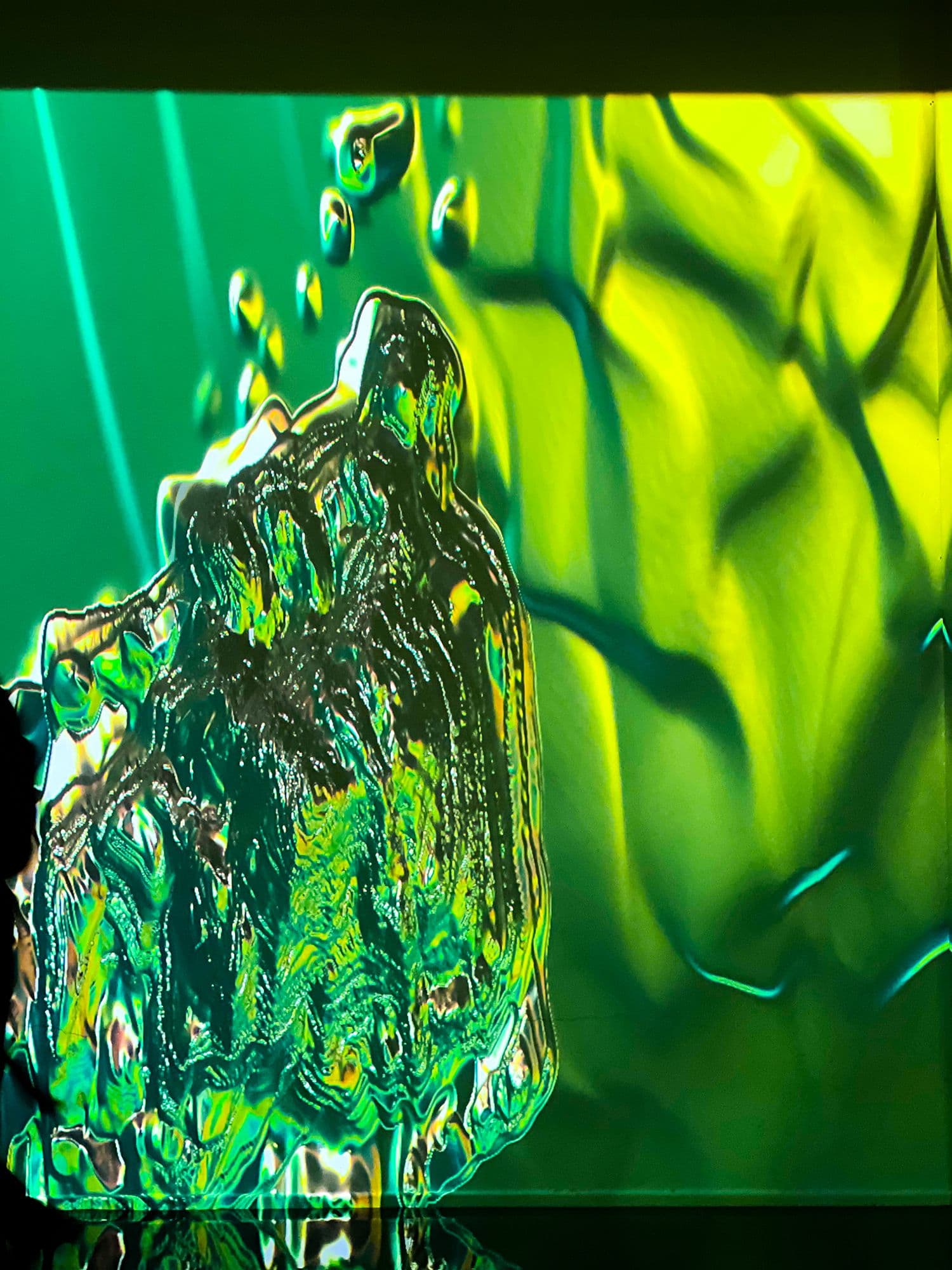 Close-up of a green underwater kelp texture projected across a wall.