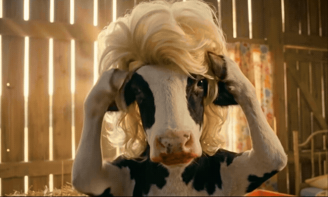 AI-generated video still of a black-and-white cow wearing sunglasses, standing against a wooden fence.