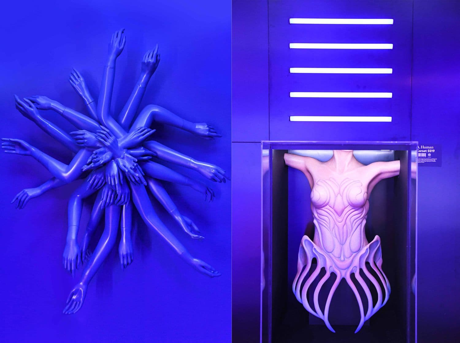 Split scene of a wall-mounted sculpture of radiating arms next to an illuminated glass case holding a ribbed, tentacle-like sculptural figure, lit in blue and violet.