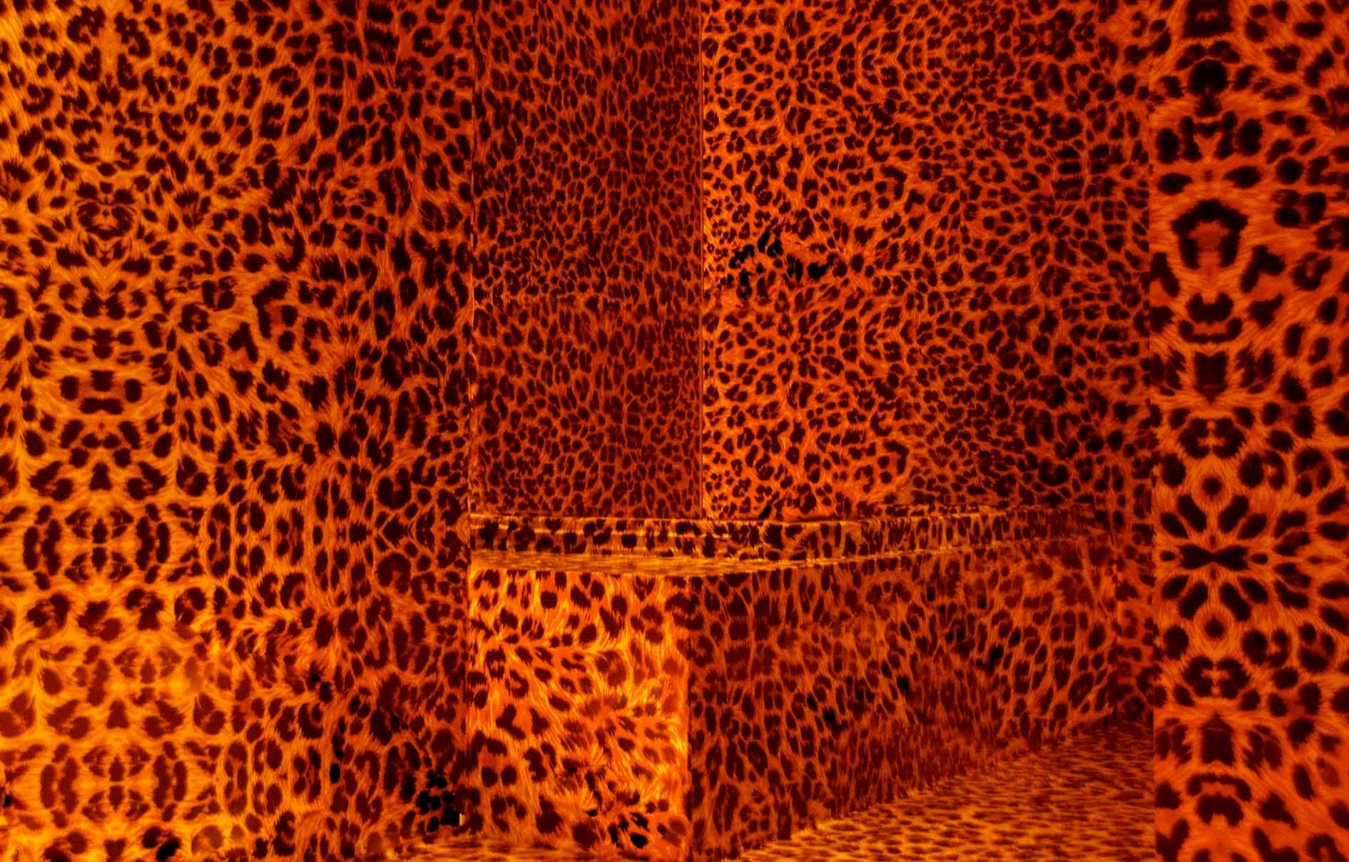 Room fully covered in orange leopard-print wallpaper with a matching upholstered bench.
