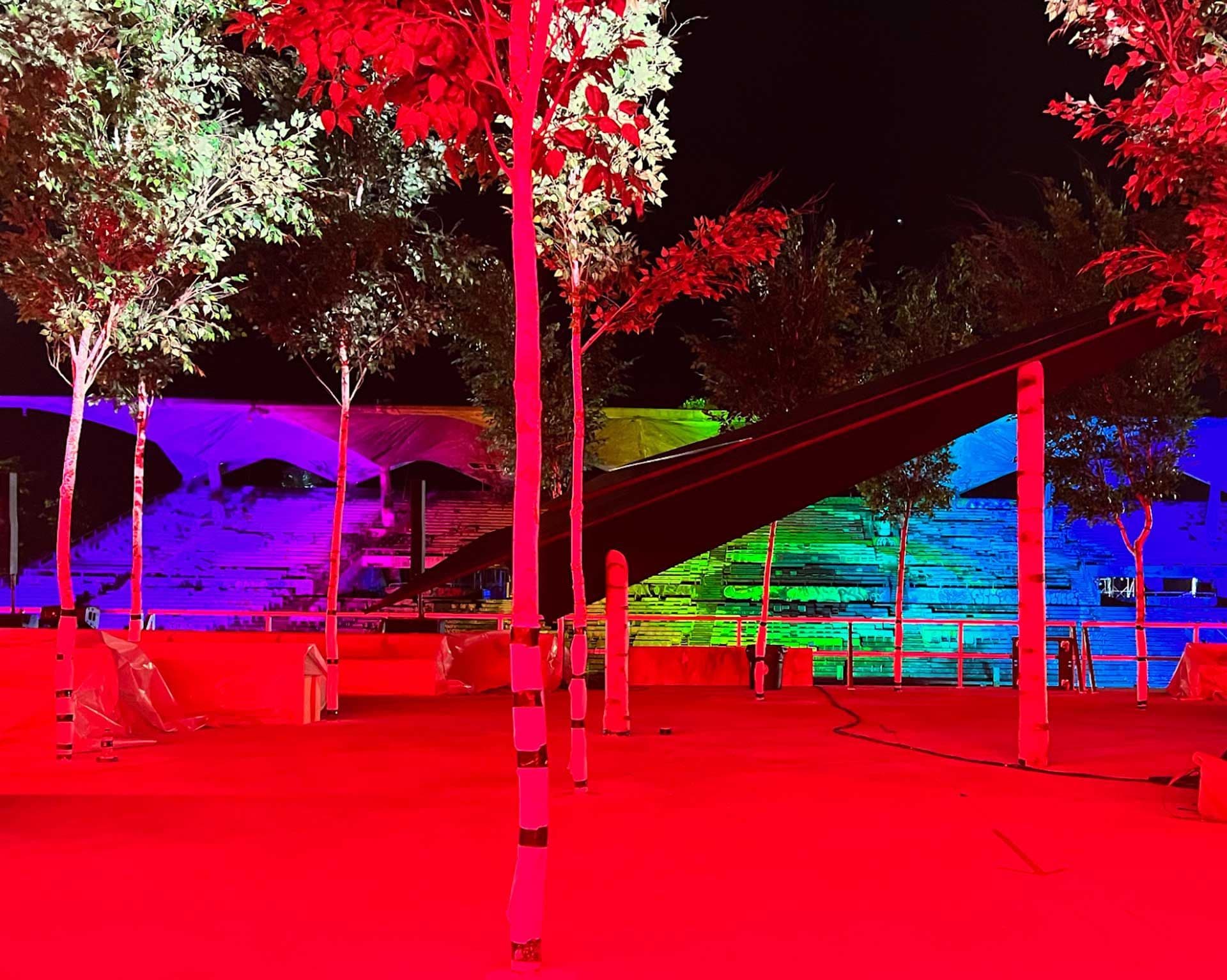 Multicolored light installation illuminating a dome-shaped structure at night, viewed through surrounding trees