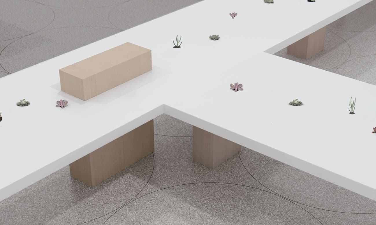 Overhead view of a cross-shaped wooden bench surrounded by small potted succulents on the museum floor